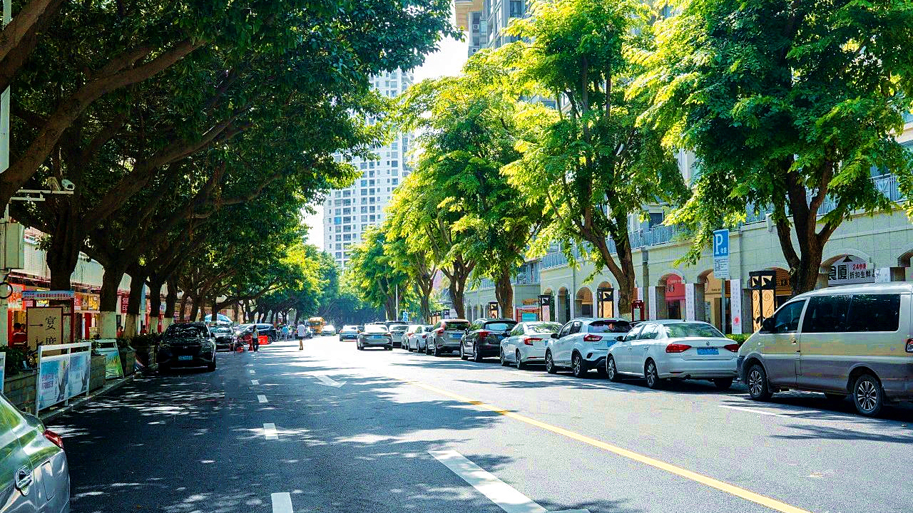 樣板區域道路提升受好評 (3).jpg